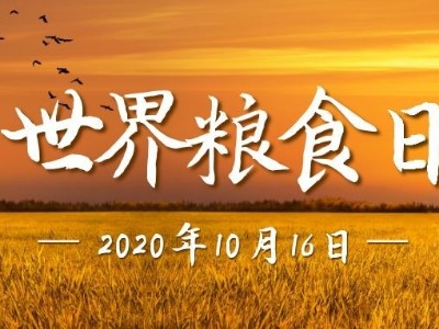 世界糧食日|光盤(pán)行動(dòng)，睿寂行空壓機(jī)在行動(dòng)......